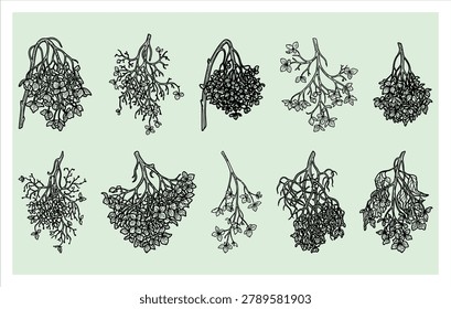 Collection of line art icons featuring sharp thorns and briars for edgy fashion tattoo design and nature protection branding illustration.