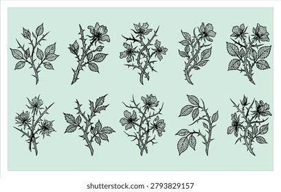 Collection of line art icons featuring sharp briars and barbed branches for edgy fashion tattoo design and nature protection branding illustration.