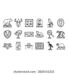 A collection of line art icons representing a natural history museum, featuring taxidermy animals, skeletons, insect displays, and scientific specimens.