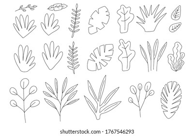 Collection of line art illustrations of plants, trees, leaves, branches, bushes and floral icons. Flat cartoon linear vector illustration. Doodle set. Black and white natural elements.