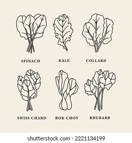 Collection of line art leafy greens