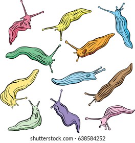Collection of Line Art Slug Illustration Vector