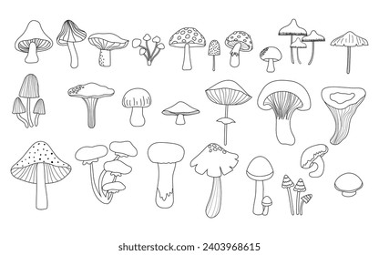 Collection of line art wild mushroom for coloring book vector illustration