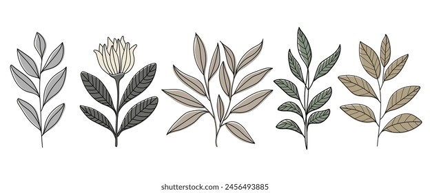 Collection of line branches , hand drawn green leaves.