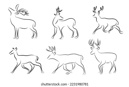 Collection of line drawings of deer - deer family. Deer in various poses. vector illustration