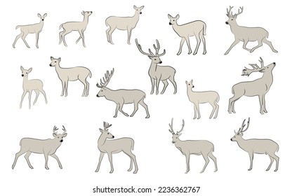 Collection of line drawings of deer - deer family. Deer in various poses. vector illustration