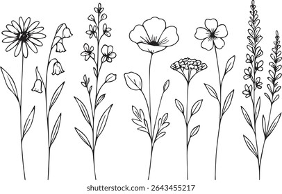 Collection of line drawings featuring different flowers on a black background. Ideal for botanical illustrations and floral designs.