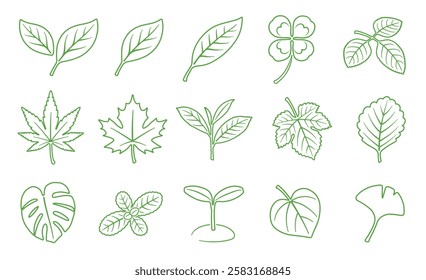 A collection of line drawings featuring the leaves of various plants