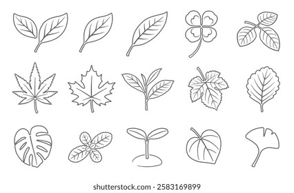 A collection of line drawings featuring the leaves of various plants