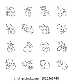 Collection of line gray icons of berries. Set of vector simple concepts for creative projects and apps. Info graphics elements and pictograms.