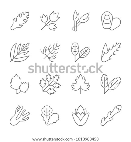 Collection of line gray icons of greenery. Set of vector simple concepts for creative projects and apps. Info graphics elements and pictograms.