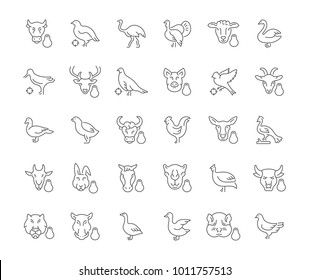 Collection of line gray icons of meat and poultry. Set of vector simple concepts for creative projects and apps. Info graphics elements and pictograms.