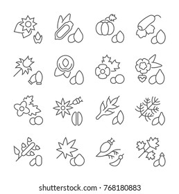 Collection of line gray icons of seeds. Set of vector simple concepts for creative projects and apps. Info graphics elements and pictograms.