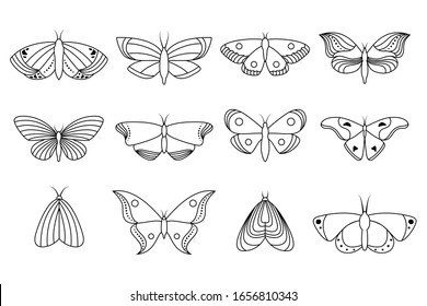 Collection of line icons butterflies on white background