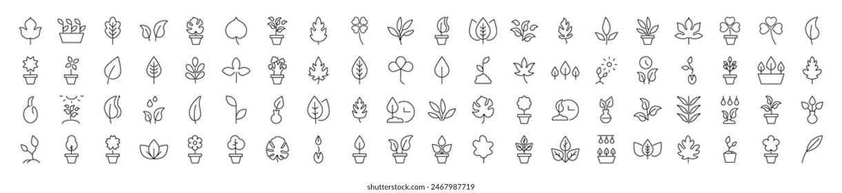 Collection of Line Icons of Leaf. Suitable for books, stores, shops. Editable stroke in minimalistic outline style. Symbol for design 