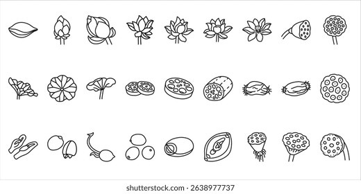 A collection of line icons of lotus elements, including flowers, leaves, roots, seeds, and seed pods.