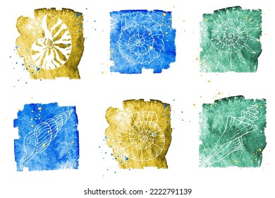 Collection of line sketches of sea shells on abstract watercolor stains with paint splashes. Stylized vector graphic.