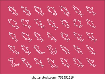 Collection of line white icons of freshwater fish. Set of vector simple elements with bold outlines on a color background. Info graphics signs and pictograms.