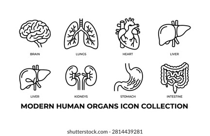 Collection of linear icons illustrating various human internal organs, useful for medical and educational purposes.