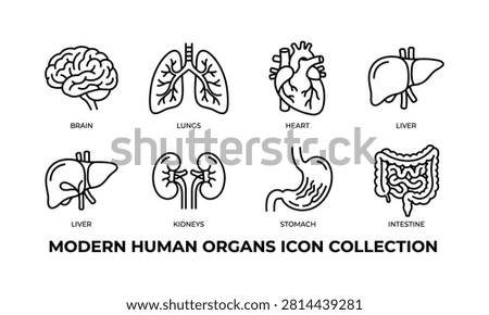 Collection of linear icons illustrating various human internal organs, useful for medical and educational purposes.
