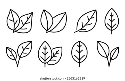  A collection of linear leaves and branches icons, perfect for eco-friendly and nature-inspired designs.