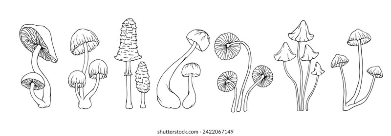A collection of linear meshes and coloring pages of wild mushrooms and toadstools. Vector graphics.