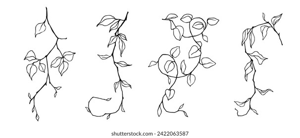 Colección de bocetos lineales, contornos de diversas ramas con follaje. Gráficos vectoriales.