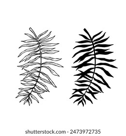 Colección de bocetos lineales, siluetas de varias hojas tropicales. Vector gráfico.