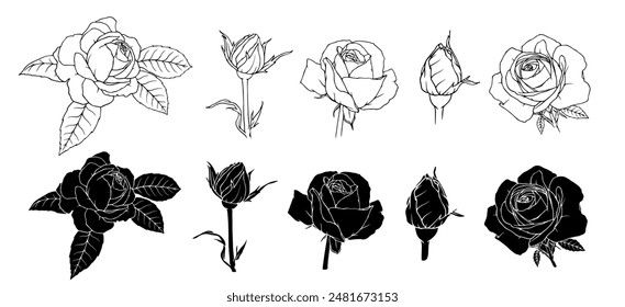 Collection of linear sketches, stamps of flowers and rose buds. Vector graphics.