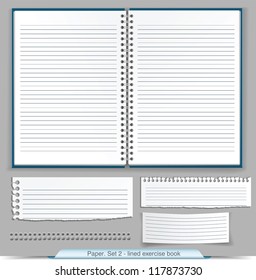 Collection of lined exercise book and paper