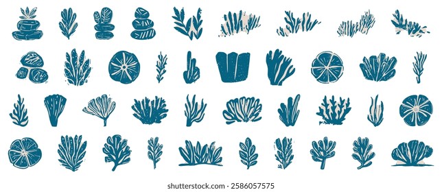 Collection of linocut hand-drawn seaweed and aquatic plant illustrations in blue and beige ink style, featuring various underwater flora and coral, isolated on transparent background