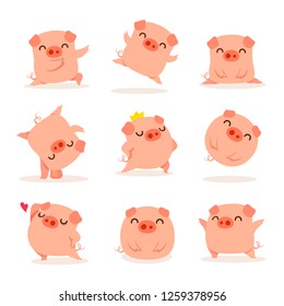 Collection of little piggy. A variety of little piggy design.