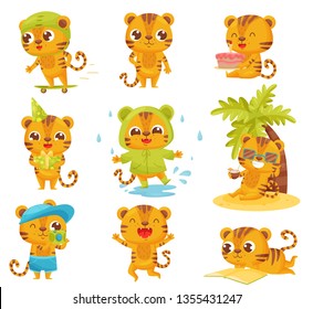 Collection of little tigers on white background.