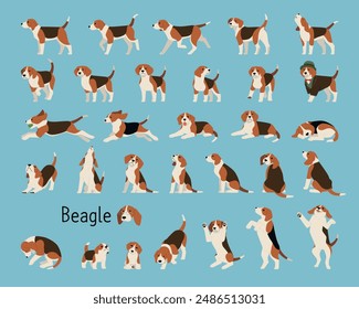 A collection of lively beagles. flat vector illustration.