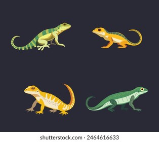 Collection lizards for world lizard day