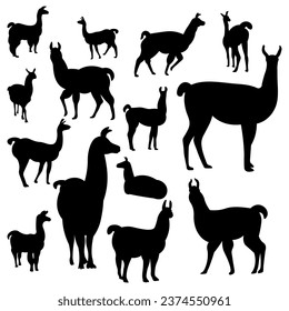 Collection of llama silhouette vector illustrations.