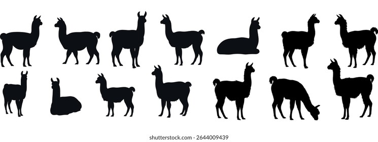 Collection of llama silhouettes on white background.