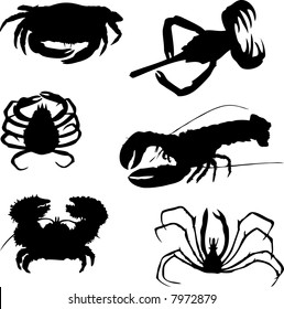 collection of lobsters
