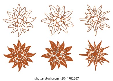 Collection of logo with edelweiss flowers. Mountain flowers. Mountaineering symbol. Stock vector illustration isolated on white background.