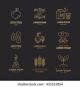 Collection of logos with symbols of different diets - vegetarian, gluten free, seafood, lactose free. Vector line style collection. Food intolerance symbol set.