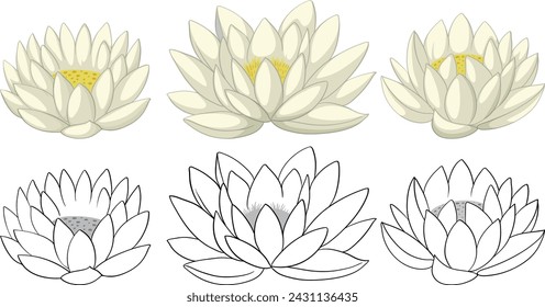 Collection of lotus flowers in various shades and styles.