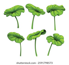 Collection of lotus leaves with varying shapes and sizes. Vector cartoon illustration