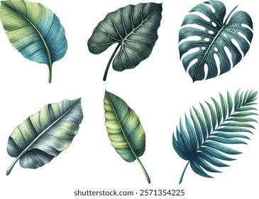 A collection of lush tropical leaves in a golden green color palette, featuring iconic monstera, banana, and alocasia leaves each isolated on white background