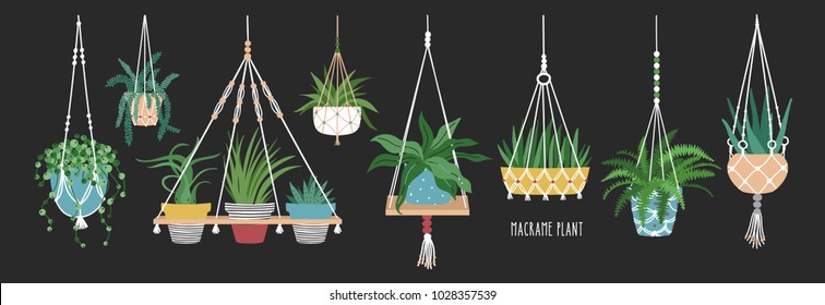 Collection of macrame hangers for potted plants. Set of hanging planters made of rope, elegant handmade home decorations isolated on black background. Cartoon flat colorful vector illustration.