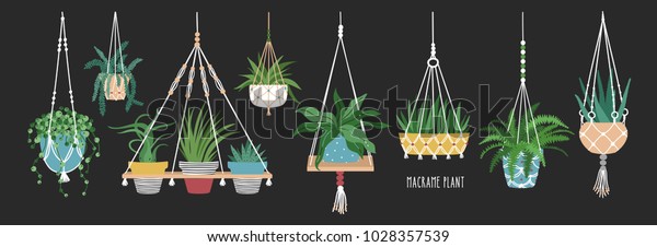 Collection of macrame hangers for potted\
plants. Set of hanging planters made of rope, elegant handmade home\
decorations isolated on black background. Cartoon flat colorful\
vector\
illustration.