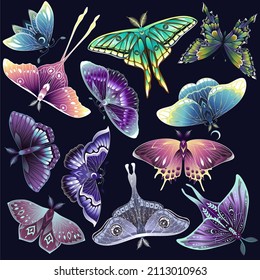 Collection of magic butterflies and moon moths. Vector illustration. Bohemian fabric design. Contemporary composition.