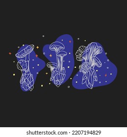 Collection of magic mushrooms with plants and starry background, outline drawing, graphics, doodle style on a dark background