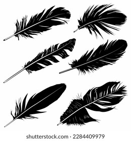 collection of magnificently detailed feathers, logos, icons