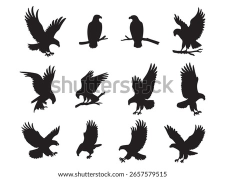 Collection of majestic eagle silhouettes in various flying and perched poses isolated on white background