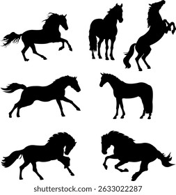 Collection of majestic horse silhouettes in various poses and dynamic movements